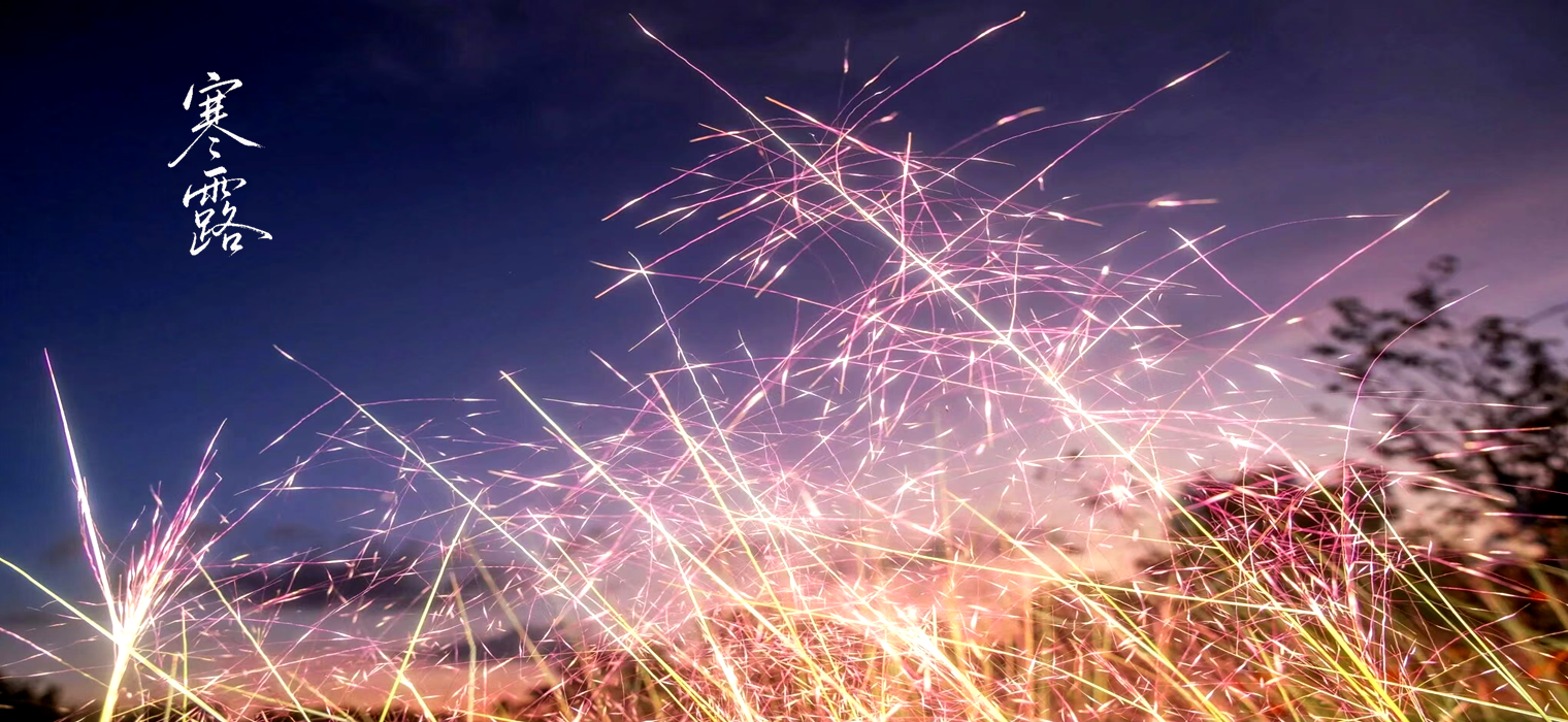 粉黛如焰，时光凝露